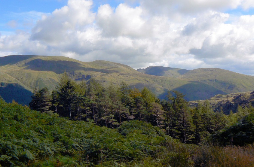 Fairfield Fairfield